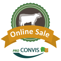 Online Bull Sale